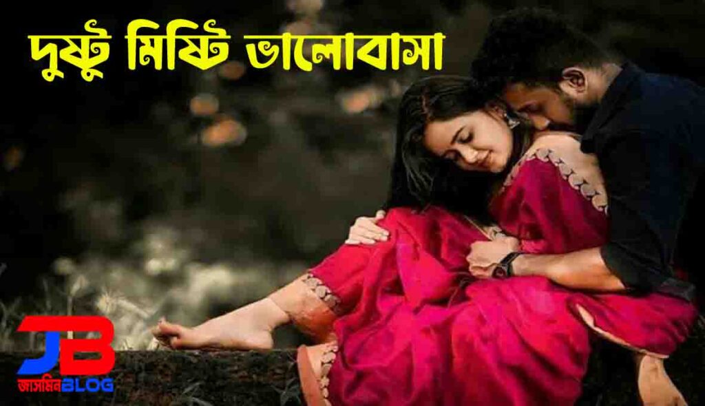 দুষ্টু মিষ্টি ভালোবাসা Bangla Romantic Love Story 2024